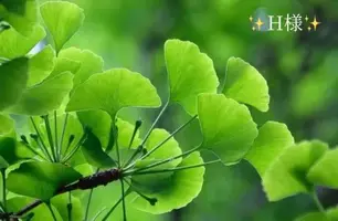 写メ日記 小山真帆 10/26(日) 22:30