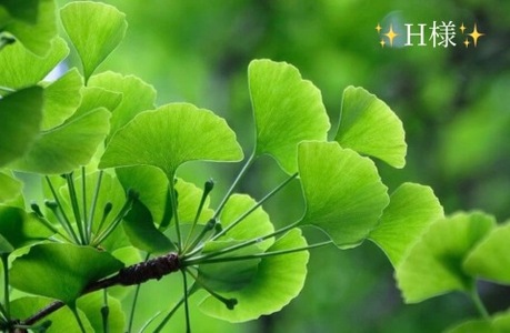 写メ日記 小山真帆 10/26(日) 22:30