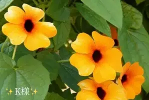 写メ日記 小山真帆 10/26(日) 22:42