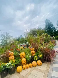 写メ日記 水原にこ 10/27(月) 09:01