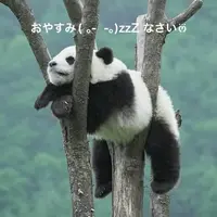 写メ日記 すみ 10/27(月) 20:14