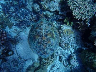 写メ日記 あゆみ 10/27(月) 21:54