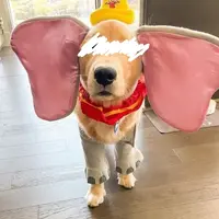 写メ日記 つかさ 10/28(火) 04:28