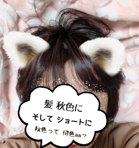 写メ日記 多田朱美 10/28(火) 18:34