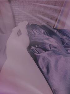 写メ日記 きゆう 10/28(火) 22:01