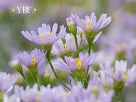 写メ日記 小山真帆 10/29(水) 16:36