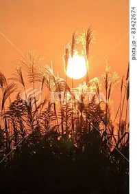 写メ日記 矢田（やだ） 10/29(水) 19:15