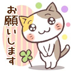 写メ日記 黒木（くろき） 10/30(木) 11:30