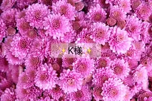 写メ日記 小山真帆 11/1(土) 16:12