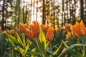 写メ日記 矢田（やだ） 11/1(土) 22:15