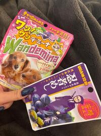 写メ日記 かやの 11/2(日) 14:48