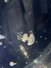 写メ日記 あおい 11/3(月) 08:38