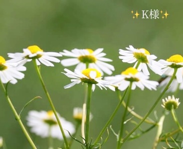 写メ日記 小山真帆 11/3(月) 21:46