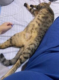 写メ日記 くいん 11/4(火) 09:17