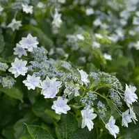 写メ日記 えな 11/4(火) 14:52