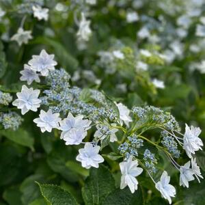 写メ日記 えな 11/4(火) 14:52