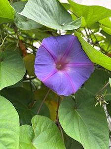 写メ日記 せな 11/5(水) 11:59