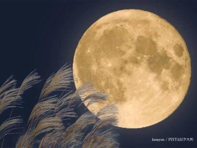 写メ日記 れい 11/5(水) 18:59