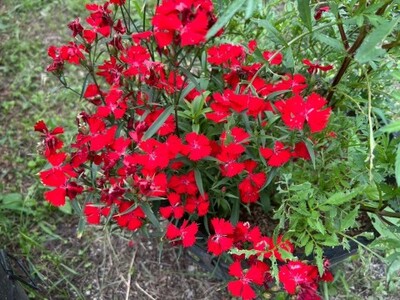 写メ日記 大島かおり 11/6(木) 11:12