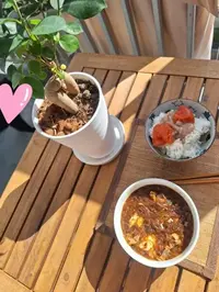 写メ日記 宮本恵美子 11/6(木) 13:24