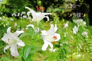 写メ日記 小山真帆 11/6(木) 18:26