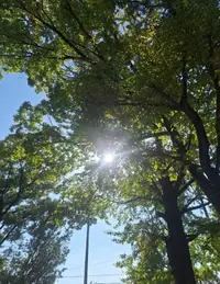 写メ日記 宮本恵美子 11/7(金) 13:54