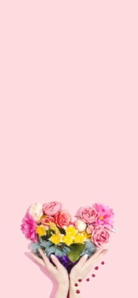 写メ日記 あい 11/8(土) 02:40