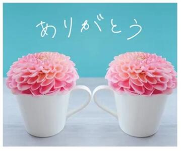 写メ日記 のあ 11/8(土) 11:49