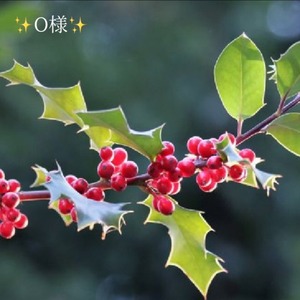 写メ日記 小山真帆 11/8(土) 18:50