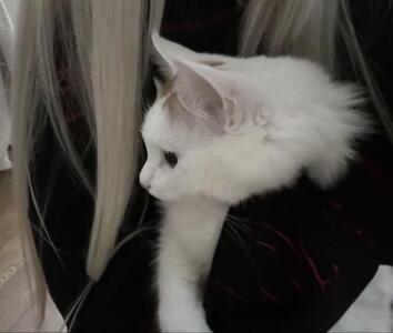 写メ日記 ゆずは 11/9(日) 18:37