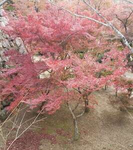 写メ日記 さや 11/11(火) 15:25