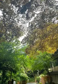 写メ日記 そら 11/12(水) 12:03