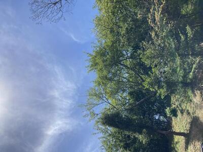 写メ日記 みき 11/13(木) 08:24