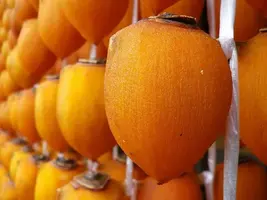 写メ日記 つかさ 11/15(土) 00:29