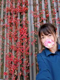 写メ日記 えみこ 11/15(土) 19:41