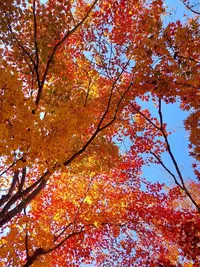 写メ日記 ひろ 11/17(月) 13:15