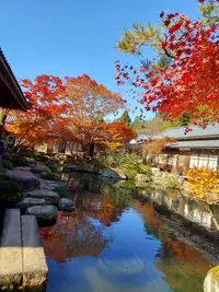 写メ日記 ひろ 11/17(月) 22:32