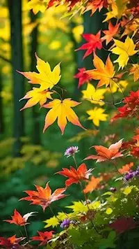 写メ日記 ともこ 11/18(火) 10:11