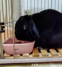 写メ日記 篠原尚美 11/18(火) 10:26