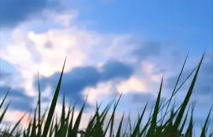 写メ日記 ゆいら 11/19(水) 11:01