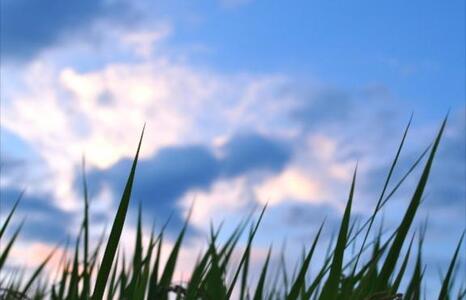 写メ日記 ゆいら 11/19(水) 11:01