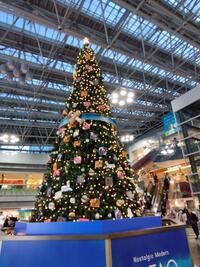 写メ日記 RISA講師 11/19(水) 12:54