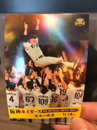 写メ日記 ふみ 11/20(木) 10:54