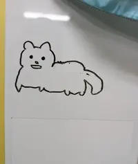 写メ日記 多田朱美 11/20(木) 18:14