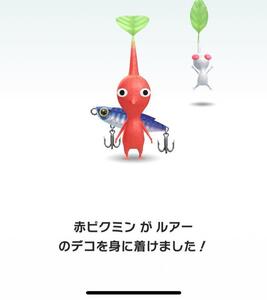 写メ日記 まこと 11/21(金) 06:55