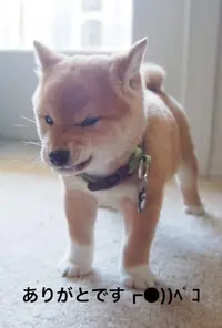 写メ日記 すみ 11/21(金) 16:24