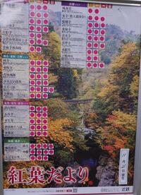 写メ日記 いちか 11/21(金) 22:15