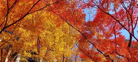 写メ日記 ひろ 11/22(土) 19:56