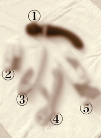 写メ日記 せいら 11/23(日) 13:12