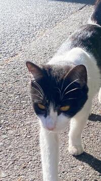 写メ日記 えま 11/23(日) 13:47